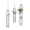 Aoderun Hanging Glass Planter Water Iron Art Hydroponic Vase Transparent