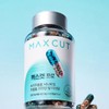 헬스헬퍼 맥스컷 프로, 120정, 1개 Health Helper Max Cut Pro,