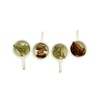 Té Prostata, Vejiga, Vias Urinarias, Té Herbal Infusion, Tisana Artesanal