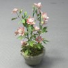 Wakumi Table Garden Series 1/12 Clematis