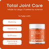 puptons Total Joint Care Supplement for Dogs | Joint Supplement