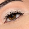 Etoile Wafer Eye Shadow