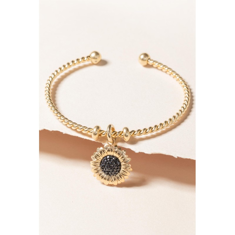 Alex and Ani Little Loves Charm Bundle Interchangeable Twisted Cuff