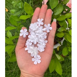 100 Pcs Lovely Patch Flowers 25x25mm Mulberry Paper Flowers Scrapbooking Wedding DIY Craft Supplies Card. (White Colors)