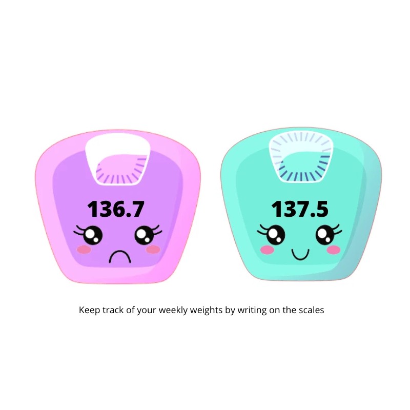 Homemade Weight Tracker Planner Stickers #43 / Planner Stickers  /