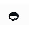 Avon Pet Products Whippet Greyhound Leather Padded Dog Collar, 18-Inch,