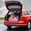 Cargo Trunk Organizer Foldable for Car Storage with Reinforced Handles