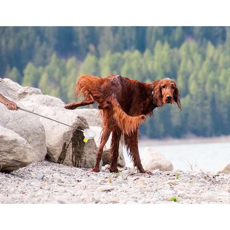 P-Scoop Telescopic Urine Collector for Medium/Large Male Dogs - with