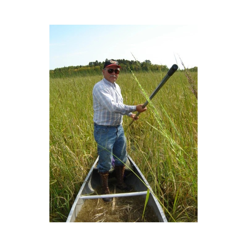 Pietron Family 1 lb. Wild Rice Minnesota Hand Harvested Wood