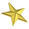 PinMart Military 3D 5 Point Gold Star Lapel Pin
