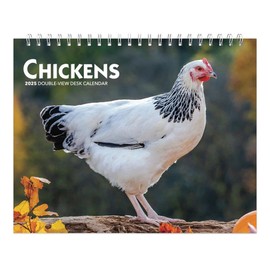 Chickens | 2025 7.5 x 6 Inch Monthly Double-View Easel Desk Calendar | BrownTrout | Domestic Farm Animals