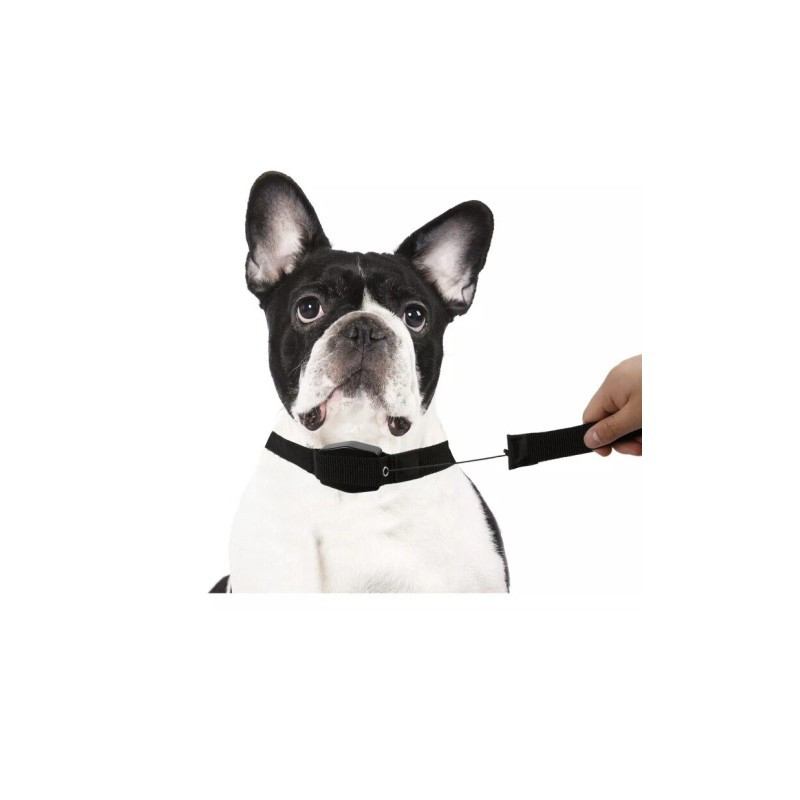 Lucky Leash Retractable Dog Leash and Collar 2 in 1