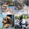 OWNPETS Large Dog Sunglasses Goggles UV Protection Windproof Dustproof Snowproof