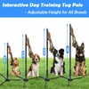 SYOOY Tether Outdoor Dog Toy,Interactive Exercise Game in Yard Park