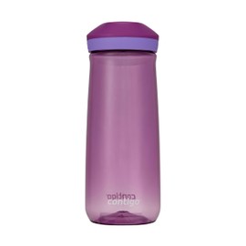 Contigo Micah Water Bottle, 20 oz, Grape/Amethyst