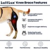 LufeLux Dog Knee Brace with Harness and Connection Belt, Lightweight