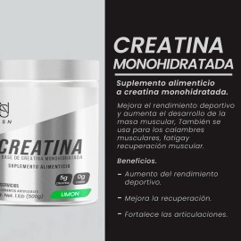 Creatina Monohidratada En Polvo Psn 500g 100 Servicios
