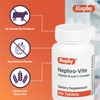 Rugby Nephro-Vite Vitamin B and C Complex Tablets - Dietary
