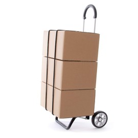 Andersen Shopper Accessories for Shopping Trolley 2 x Tie Down Straps (1 Pair)