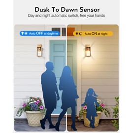 VIANIS Dusk to Dawn Outdoor Wall Lanterns, 2 Pack Golden Exterior Lighting Fixtures Wall Mount Sconces with Photocell Sensor, Waterproof Gold Porch Light Outside Garage Sconces Lamps for House Patio