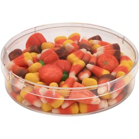 Pioneer Plastics 053C Clear Round Petri Dish Plastic Container, 4.6875" W x 1" H