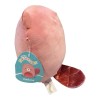 Jazwares Squishmallows Darlene 8" Velvet Beaver Plush Toy Soft Stuffed