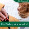 bluzelle Recall 5800 Professional Dog Whistle with Strap for Dog