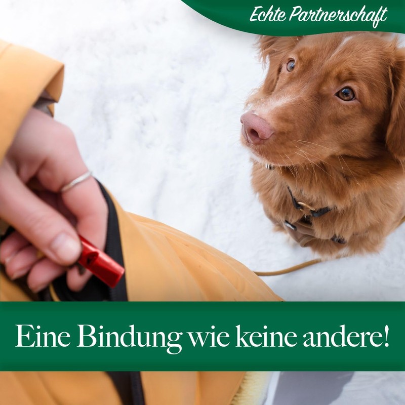 bluzelle Recall 5800 Professional Dog Whistle with Strap for Dog