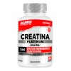 Creatina Platinum Testrol | 120 Cápsulas | Aumento de Fuerza