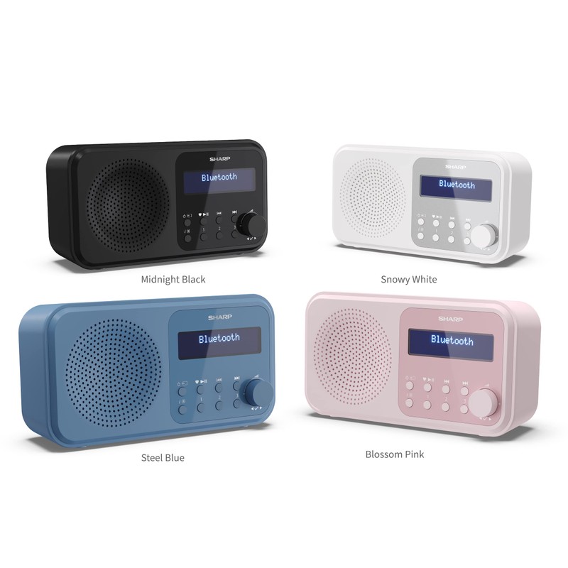 SHARP DR-P420 Portable Digital Radio (DAB/DAB+/FM with RDS, USB, Bluetooth