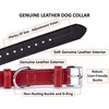 TORRUNA Soft Leather Dog Collar | Dog Collars for Small,
