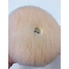 For Electrolux Electrolux Lambswool Buffing Pads to fit Tri Star