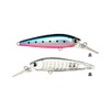 Ams Design (ima) Ataru (ataru) 70S #X5632 Sardine Grand Dissection