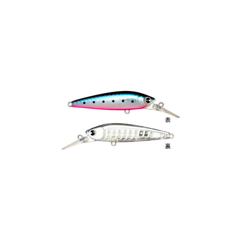 Ams Design (ima) Ataru (ataru) 70S #X5632 Sardine Grand Dissection