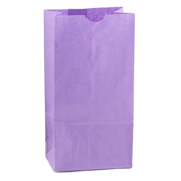 Hygloss 64118#4 Bags 5"X3"X9 3/4" 100 Colorful Paper Bags Single Colors,Purple,#4
