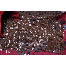 S.Oak Understory Premium Soilless Aroid Potting Mix with Mycorrhizae - 1 liter