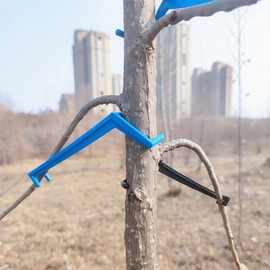 QiXin The Fruit Branch Spreader Forms Stronger Branches on Apples and Other Fruit Trees to Support The Growth of New Branches, Branch Support (Blue 30 Pieces)