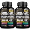 Unbranded 8-IN-1 Shilajit Multivitamin (Turmeric, Ashwagandha, Ginger,Cordyce - 2 Bottle