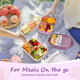 MISS BIG Lunch Box Kids, Leak Proof Lunch Containers, Mom’s Choice No BPAs and No Chemical Dyes Bento Box for Kids,Microwave and Dishwasher Safe Lunch Box (Purple M)