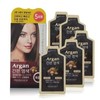 Prorance Argan Easy Hair Hair Dye (5 servings) - Dark Brown / 프로랑스 아르간 간편 염색약 5회분 - 흑갈색