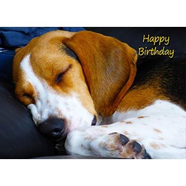 Beagle Dog Birthday Card