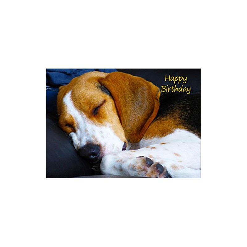 Beagle Dog Birthday Card