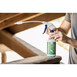 Donaldson Farms Carpenter Bee Killer 16 oz Natural Foaming Spray