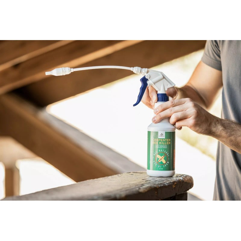 Donaldson Farms Carpenter Bee Killer 16 oz Natural Foaming Spray