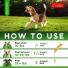 SalutemPet Natural Dog Antibiotics | UTIs, Allergies, Joints, Digestion |