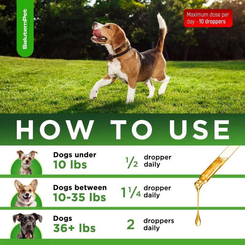 SalutemPet Natural Dog Antibiotics | UTIs, Allergies, Joints, Digestion |