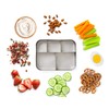 Bits Kits Stainless Steel Bento Box Lunch and Snack Container
