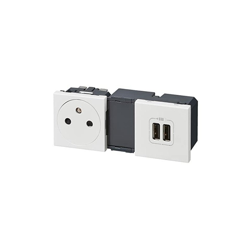 Legrand Mosaic leg99605 Power Outlet with 2 USB Charger, White