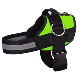 Joyride Basic Essential Dog Harness 1.0 - Small, Medium, Large Dogs, No-Pull Pet Vest with 3 Side Rings for Leash Placement, Adjustable for Training (Green Glow, XS)