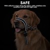 Dog Head Collar, No Pull Head Harness, Adjustable & Reflective